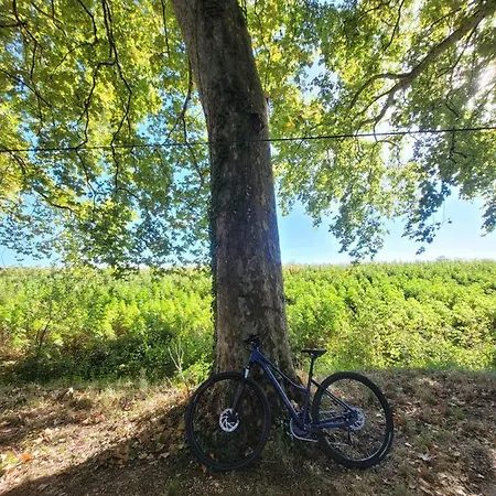 La Maison Des Eaux Bed and Breakfast Saint-Jean-de-Thurac