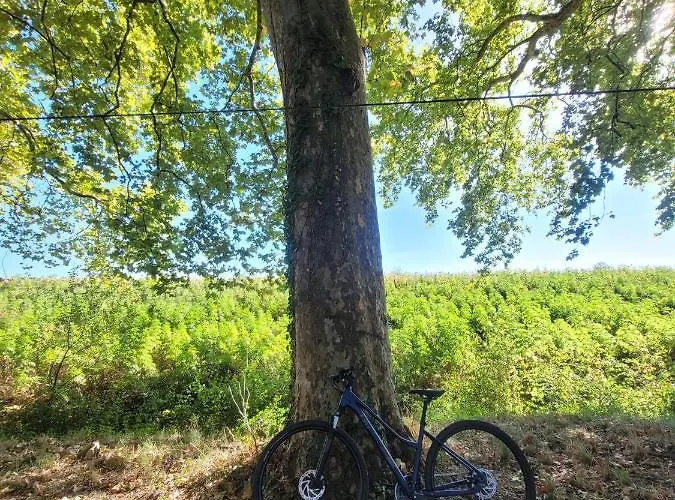 La Maison Des Eaux Bed and breakfast Saint-Jean-de-Thurac